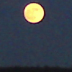 mond